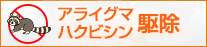 アライグマ・ハクビシン駆除